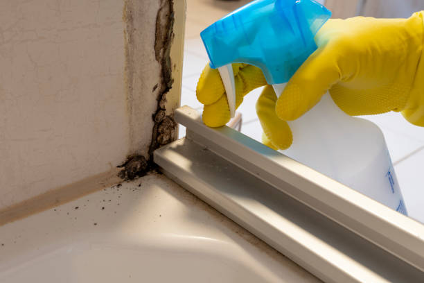 Best Professional Mold Removal  in Smithville, TN