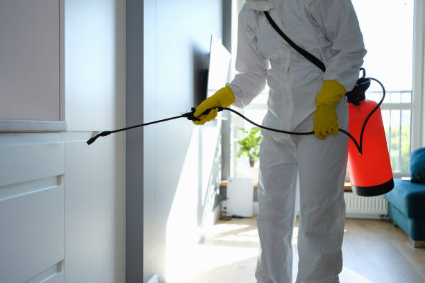 Best Local Mold Removal Service  in Smithville, TN