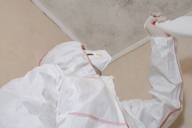 Best Attic Mold Removal  in Smithville, TN